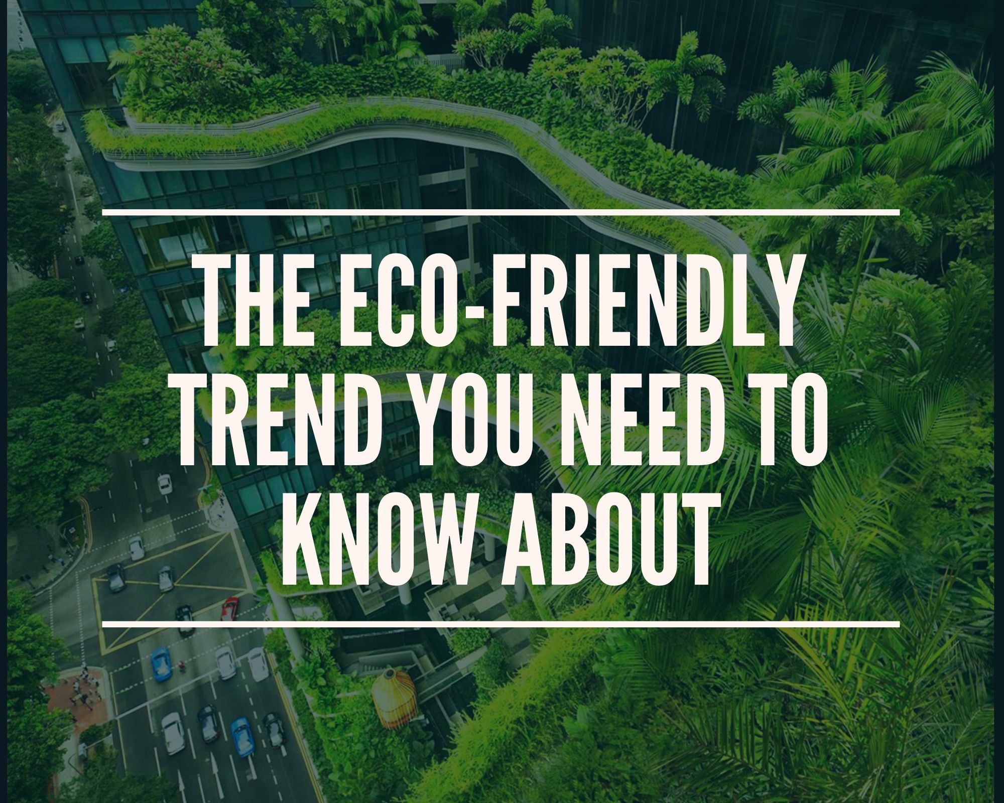 The Eco-Friendly Trend you need to know about | Liamtra Blog