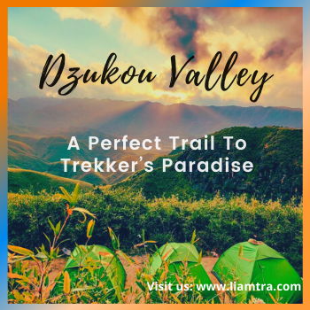 Dzukou Valley - A Perfect Trail To Trekker’s Paradise