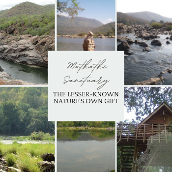Muthathi Sanctuary, The Lesser-Known Nature's Own Gift