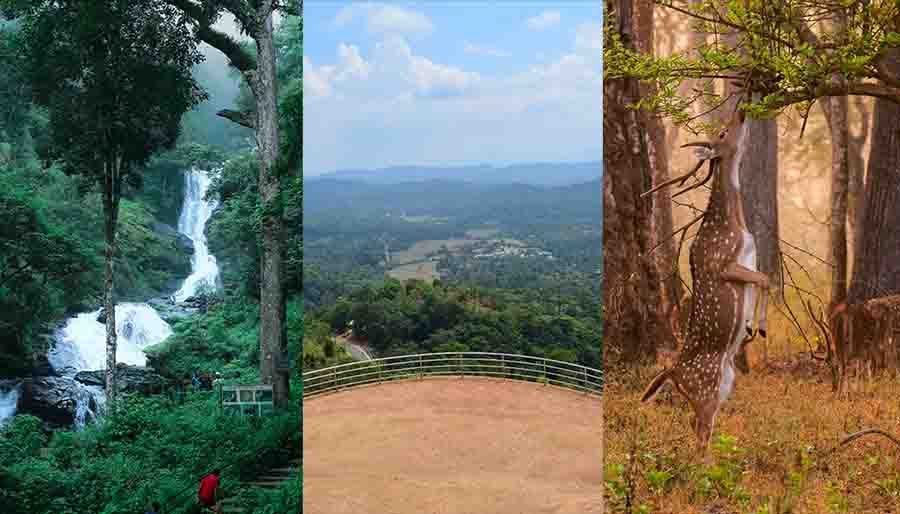 Best Places To Visit In Coorg Travel Guide To Coorg Liamtra Blogs