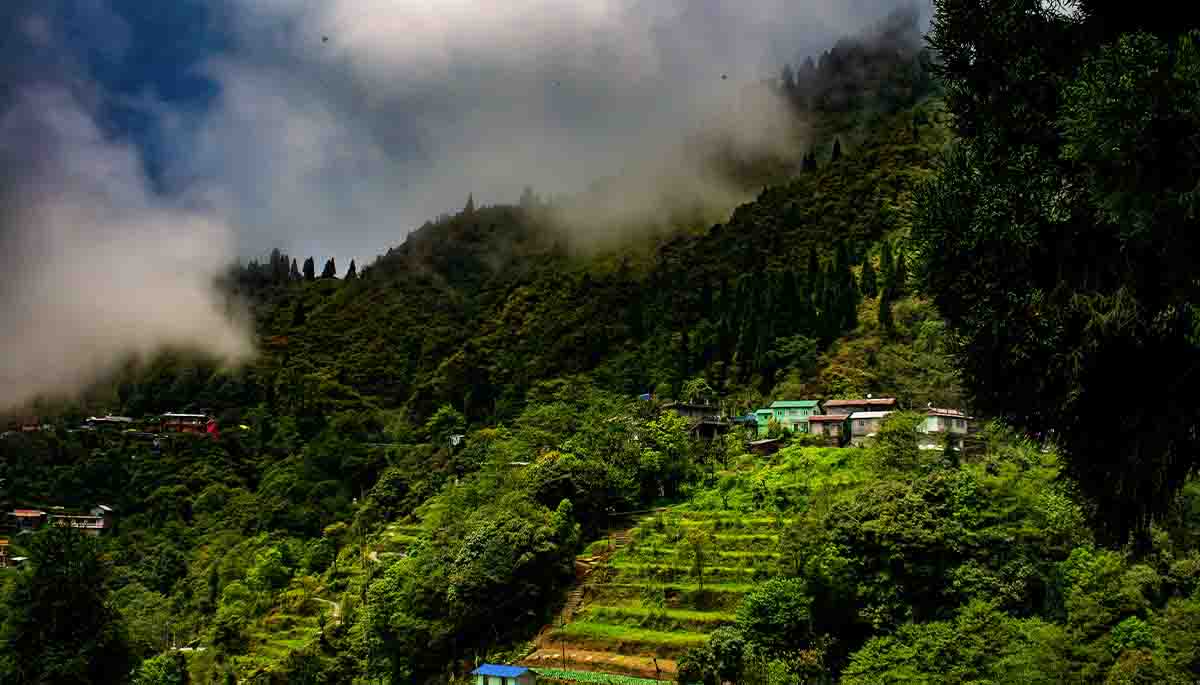 The Ultimate Monsoon Experience In Darjeeling - Liamtra Blogs