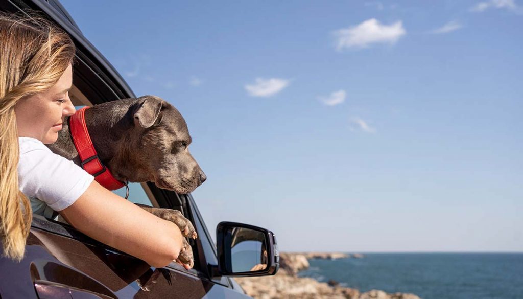 Pet-friendly vacations - new travel trends in 2023